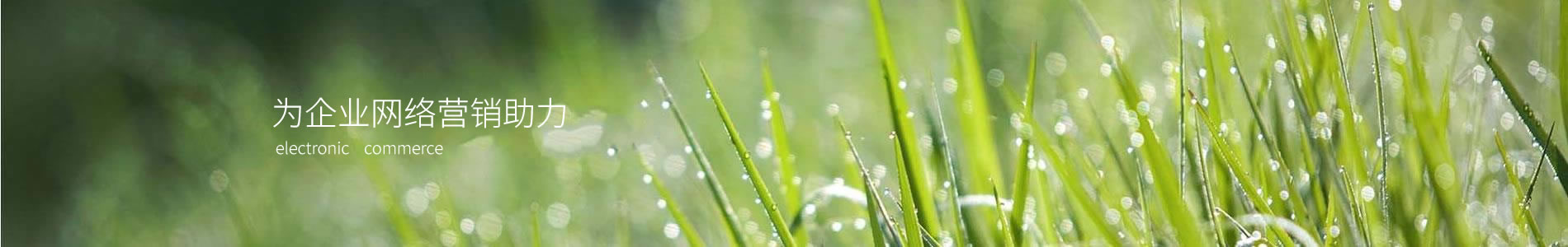 ӱнݻƼ޹˾1